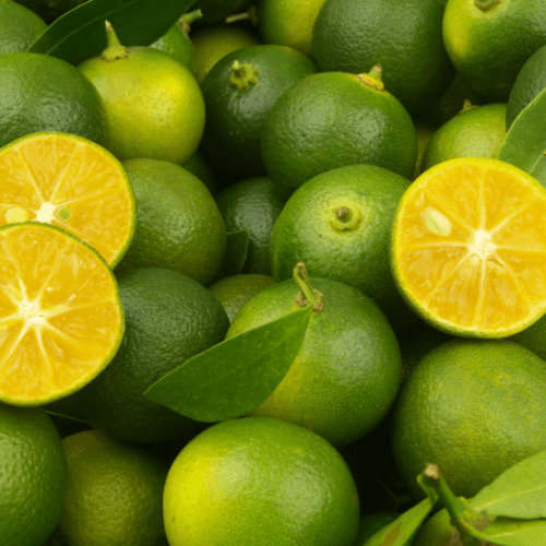 Calamansi