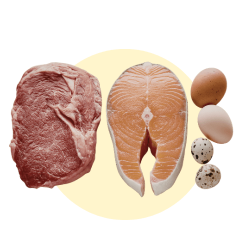 Fish, Meat & Eggs